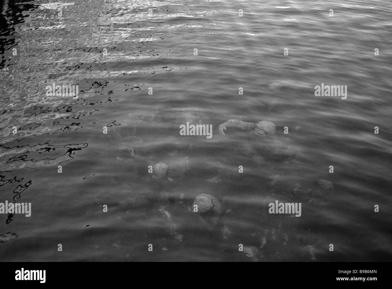 UNTERWASSER-SKULPTUR Stockfoto