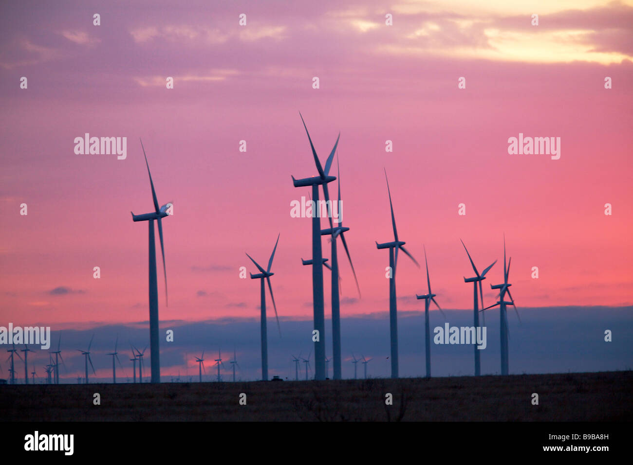 Am frühen Morgen an der Stromerzeugung an Horse Hollow Wind Farm Nolan county Texas Windenergieanlagen Stockfoto