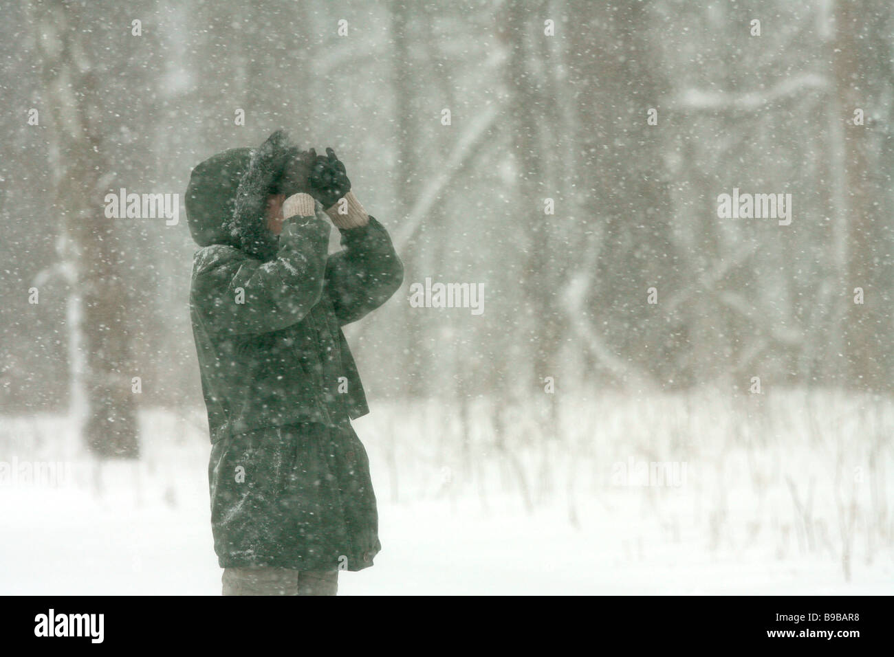 Frau Vogelbeobachter Vogelbeobachtungen während eines Schneesturms Winter Stockfoto