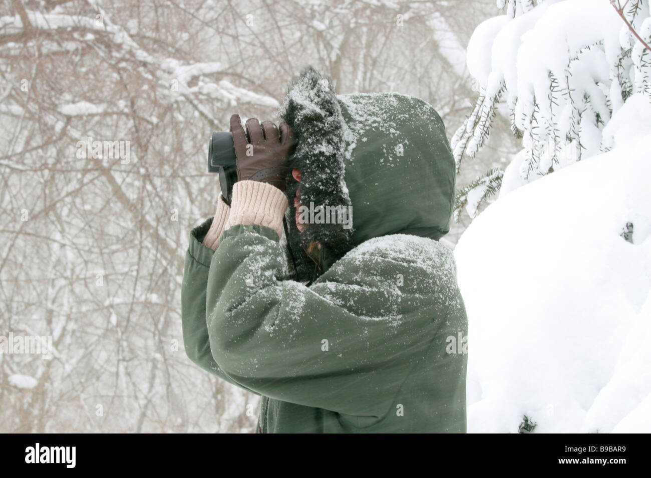 Frau Vogelbeobachter Vogelbeobachtungen während eines Schneesturms Winter Stockfoto