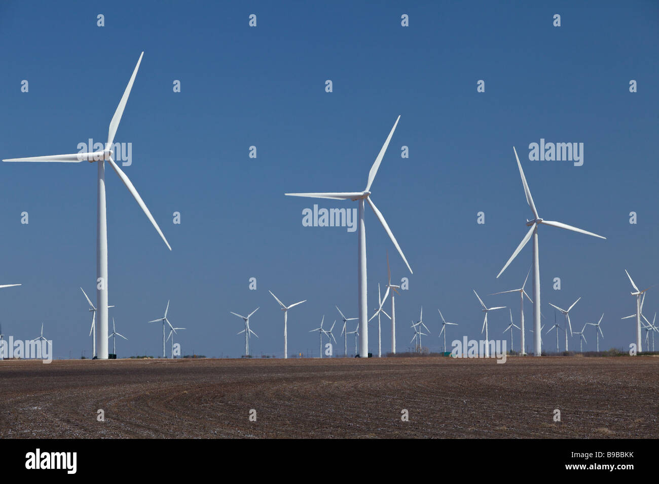 Windkraftanlagen Sie zur Stromerzeugung an Horse Hollow Wind Farm Nolan county Texas der weltgrößten Stockfoto