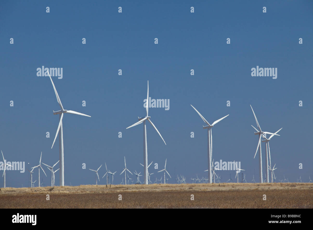 Windkraftanlagen Sie zur Stromerzeugung an Horse Hollow Wind Farm Nolan county Texas der weltgrößten Stockfoto