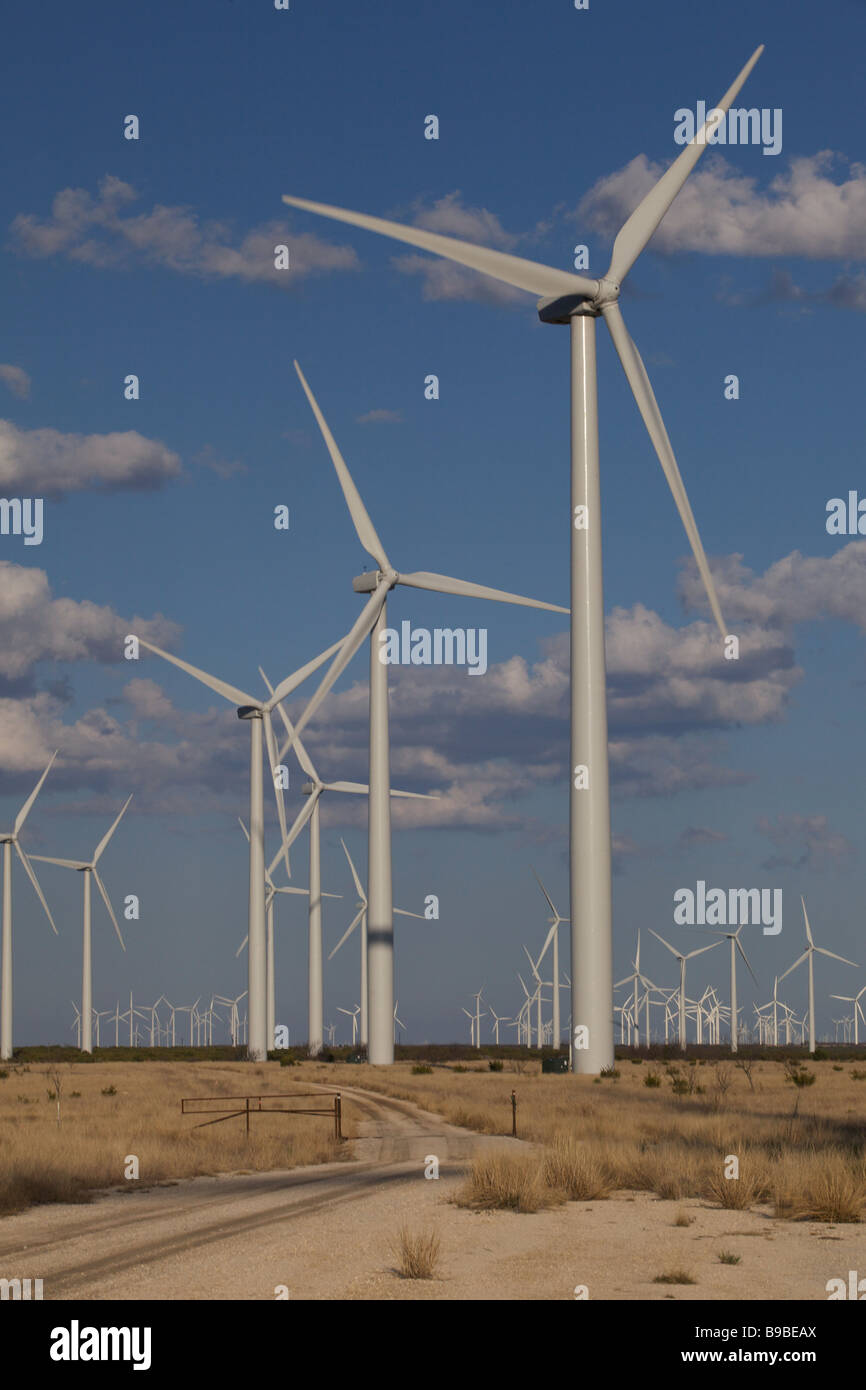 Windkraftanlagen Sie zur Stromerzeugung an Horse Hollow Wind Farm Nolan Texas größten Windpark der Welt. Stockfoto
