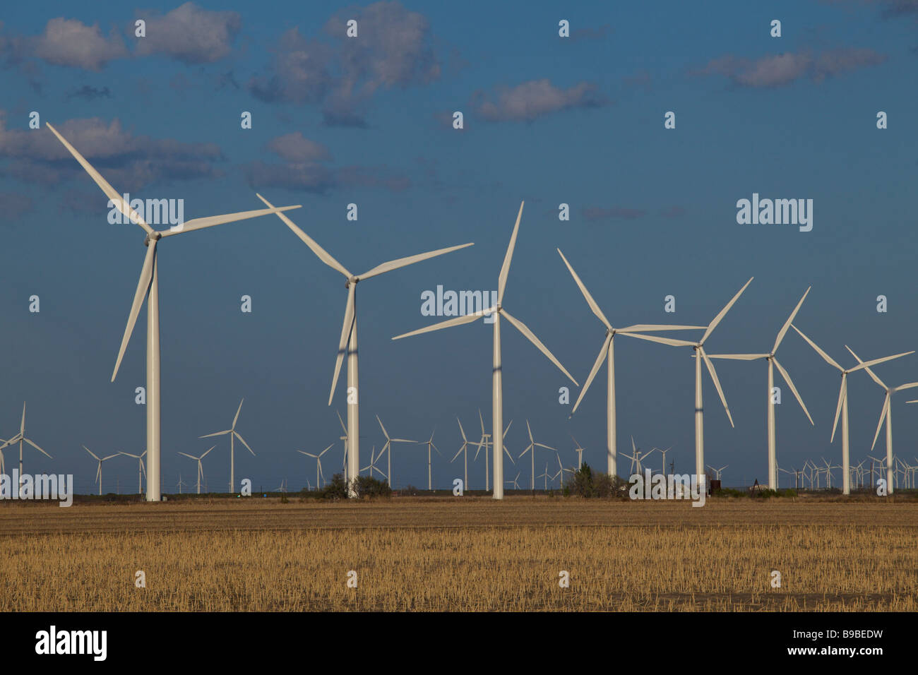 Windkraftanlagen Sie zur Stromerzeugung an Horse Hollow Wind Farm Nolan Texas größten Windpark der Welt. Stockfoto