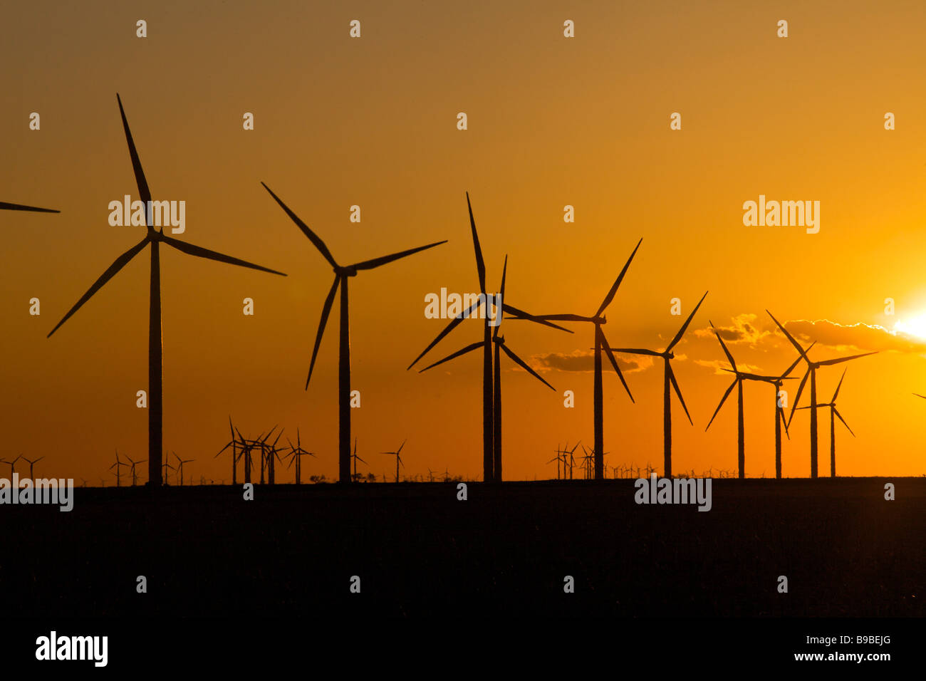 Windkraftanlagen zur Stromerzeugung an Horse Hollow Wind Farm Nolan Texas bei Sonnenuntergang. Stockfoto