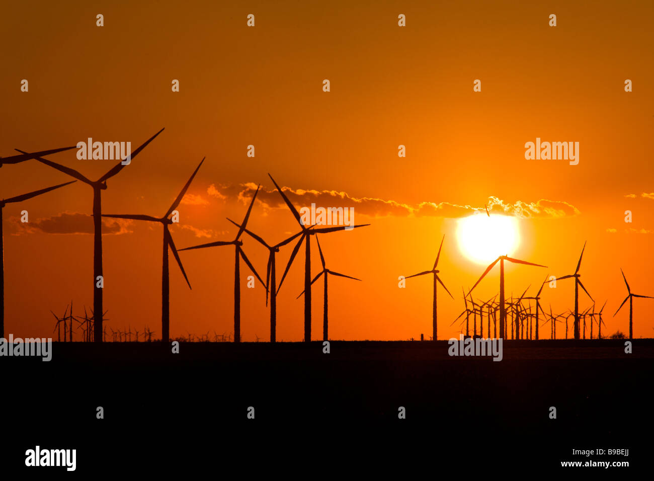 Windkraftanlagen zur Stromerzeugung an Horse Hollow Wind Farm Nolan Texas bei Sonnenuntergang. Stockfoto