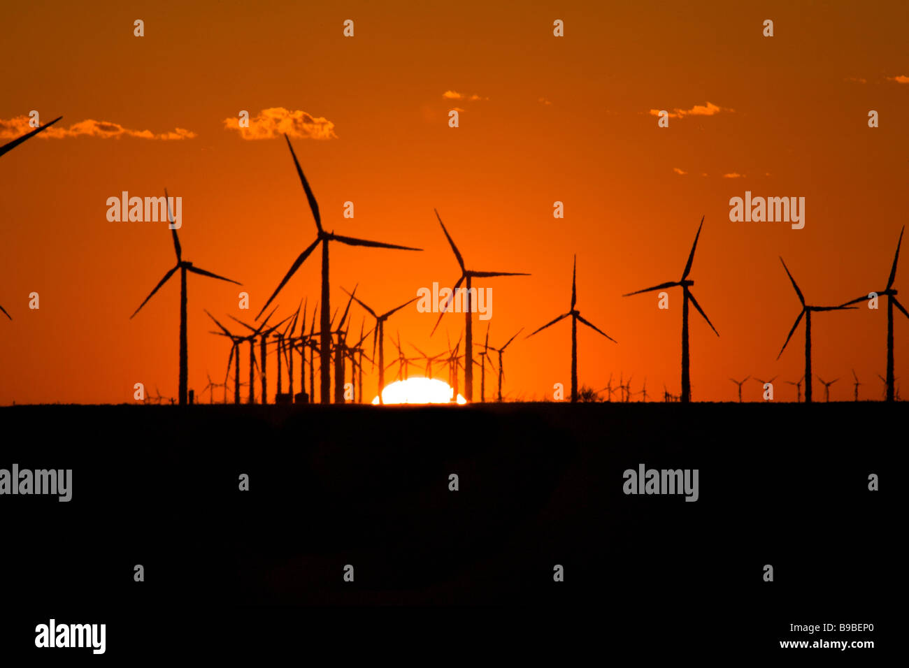 Sonnenuntergang über Windkraftanlagen zur Stromerzeugung an Horse Hollow Wind Farm Nolan Texas Stockfoto