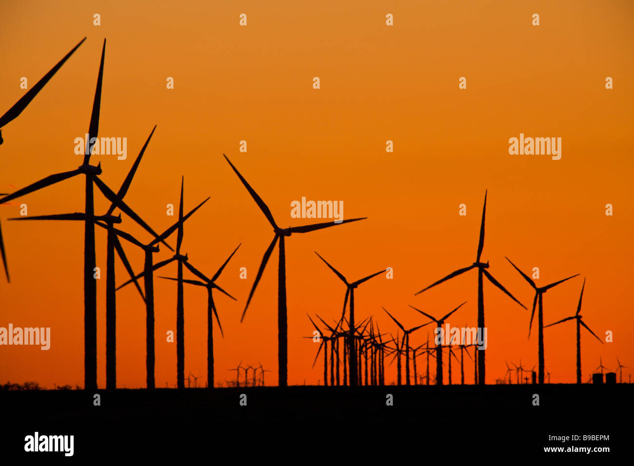 Sonnenuntergang über Windkraftanlagen zur Stromerzeugung an Horse Hollow Wind Farm Nolan Texas Stockfoto