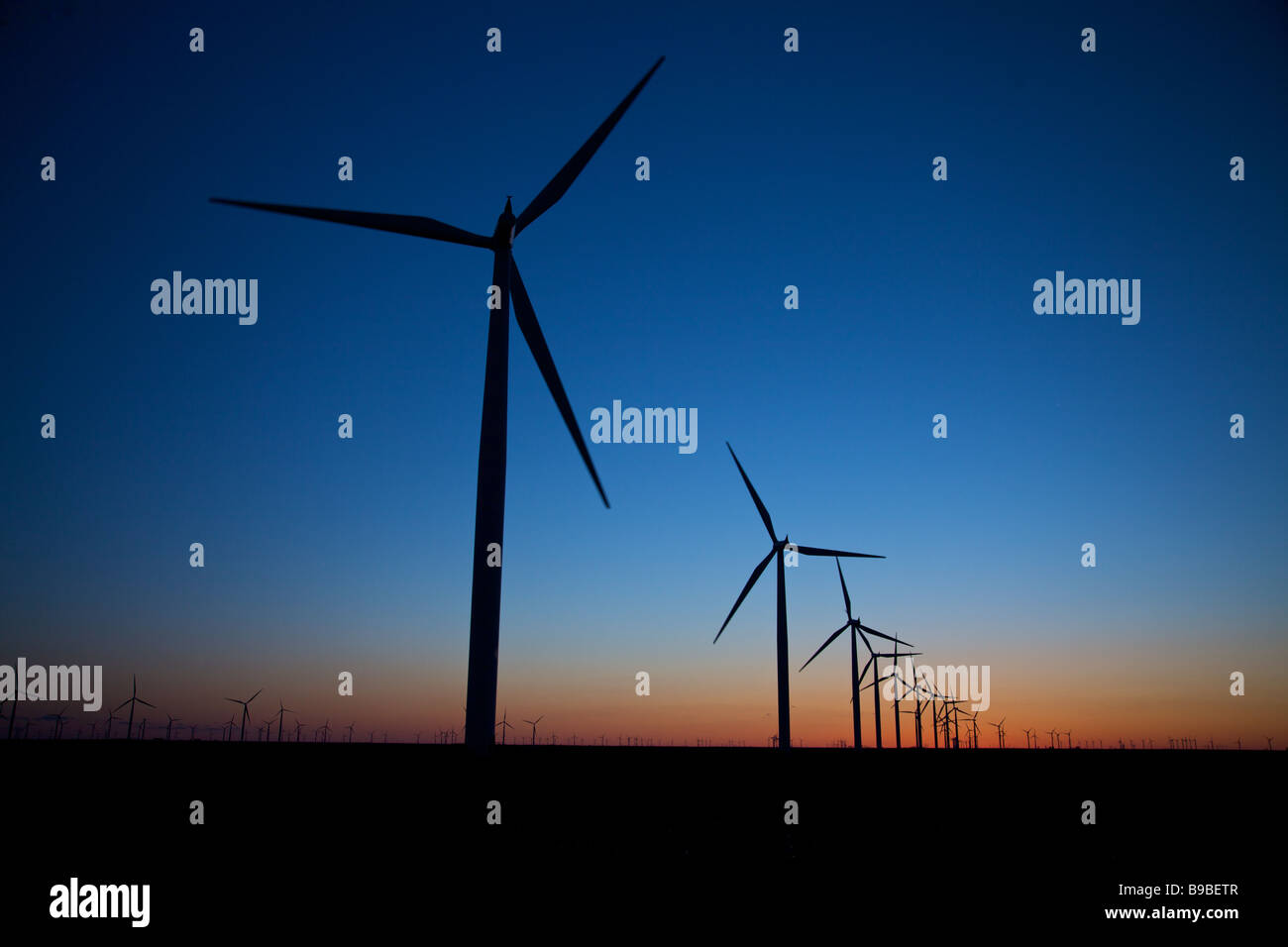 Dämmerung über Windkraftanlagen zur Stromerzeugung an Horse Hollow Wind Farm Nolan Texas Stockfoto