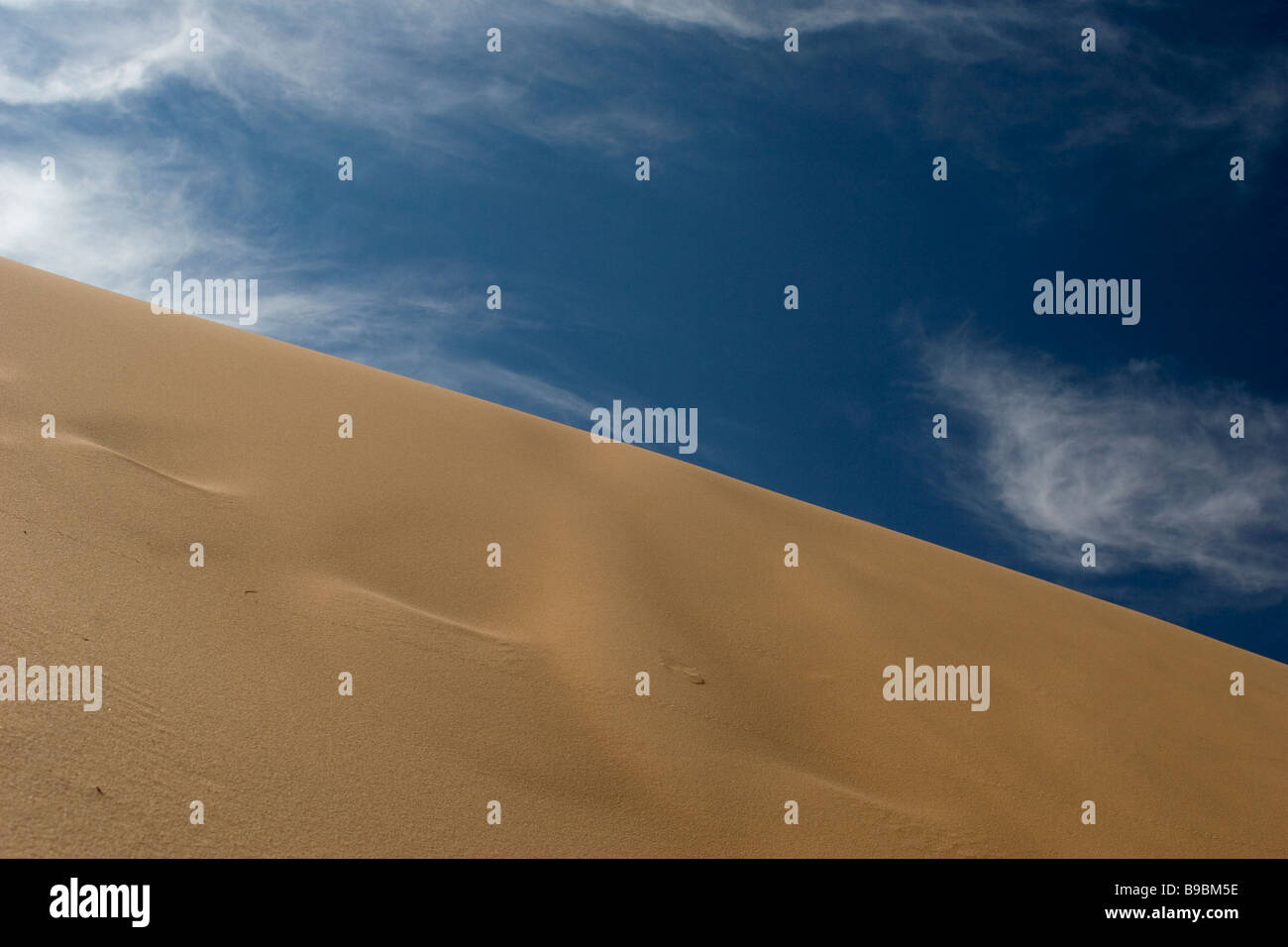 Fußspuren führen sich auf einer Sanddüne in der Kalahari-Regeon der nördlichen Kap Südafrikas Stockfoto