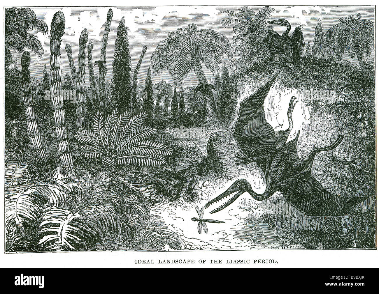 Ideallandschaft Lias Periode Teradactyl Dschungel der frühen Jurassic Epoche (in Chronostratigraphy entspricht der Low Stockfoto