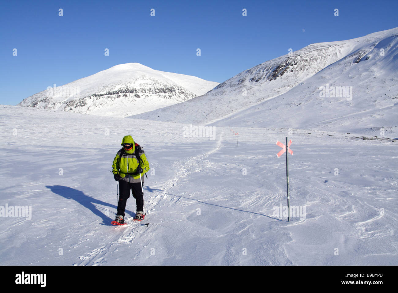 Eine weibliche Schneeschuh-Wanderer in der Kungsleden Stockfoto