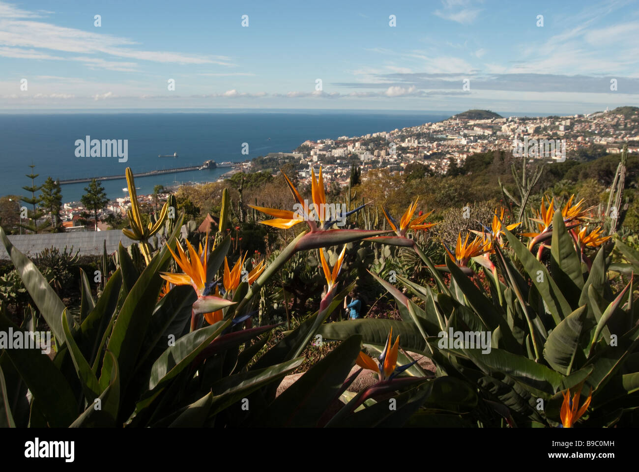 Blick über Funchal aus dem Botanischen Garten, Madeira, Portugal Stockfoto