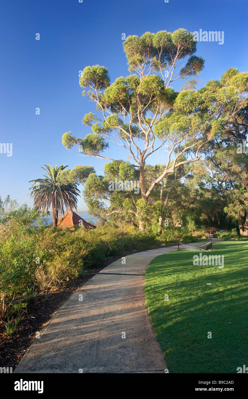Ein Pfad im Kings Park an einem Sommertag am Morgen. Perth, Western Australia, Australia Stockfoto