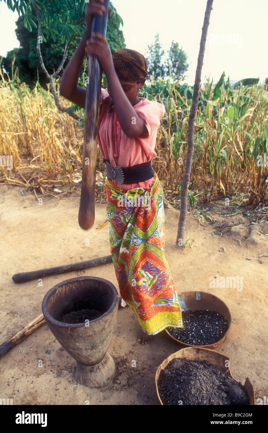 Tansania. Frau schleifen die Sonnenblumenkerne für Speiseöl. kondoa. Stockfoto