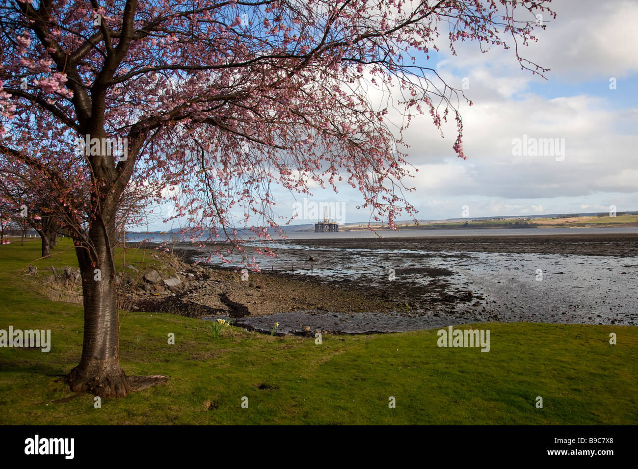 Invergordon, Cromarty Firth im Norden Schottlands, UK Stockfoto