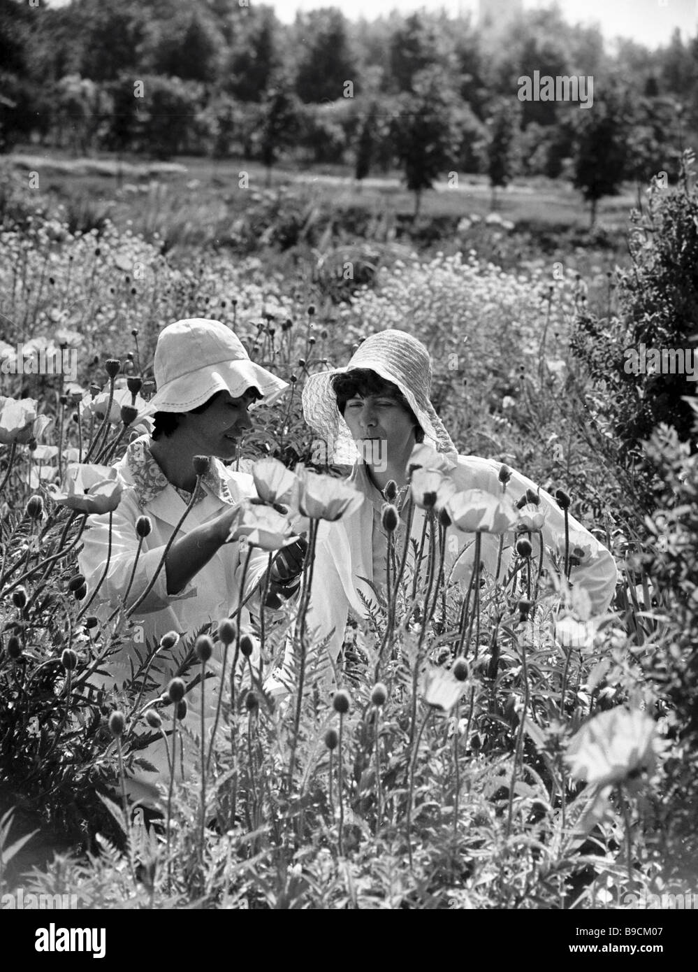 BlumeGärtner unter den Mohn in der Ukraine Donezk Botanischer Garten