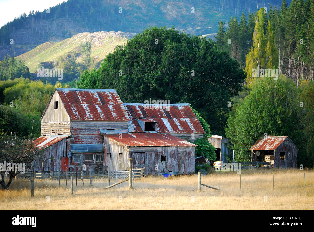 Alte hölzerne Scheune, State Highway 6, Tasman District, South Island, Neuseeland Stockfoto