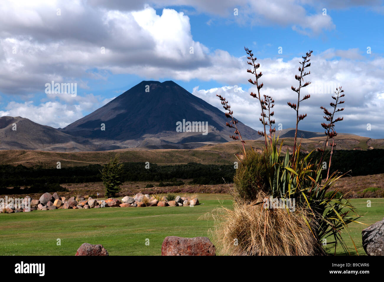 Mount Ngauruhoe & Neuseeland Flachs (Phormium Tenax) Stockfoto