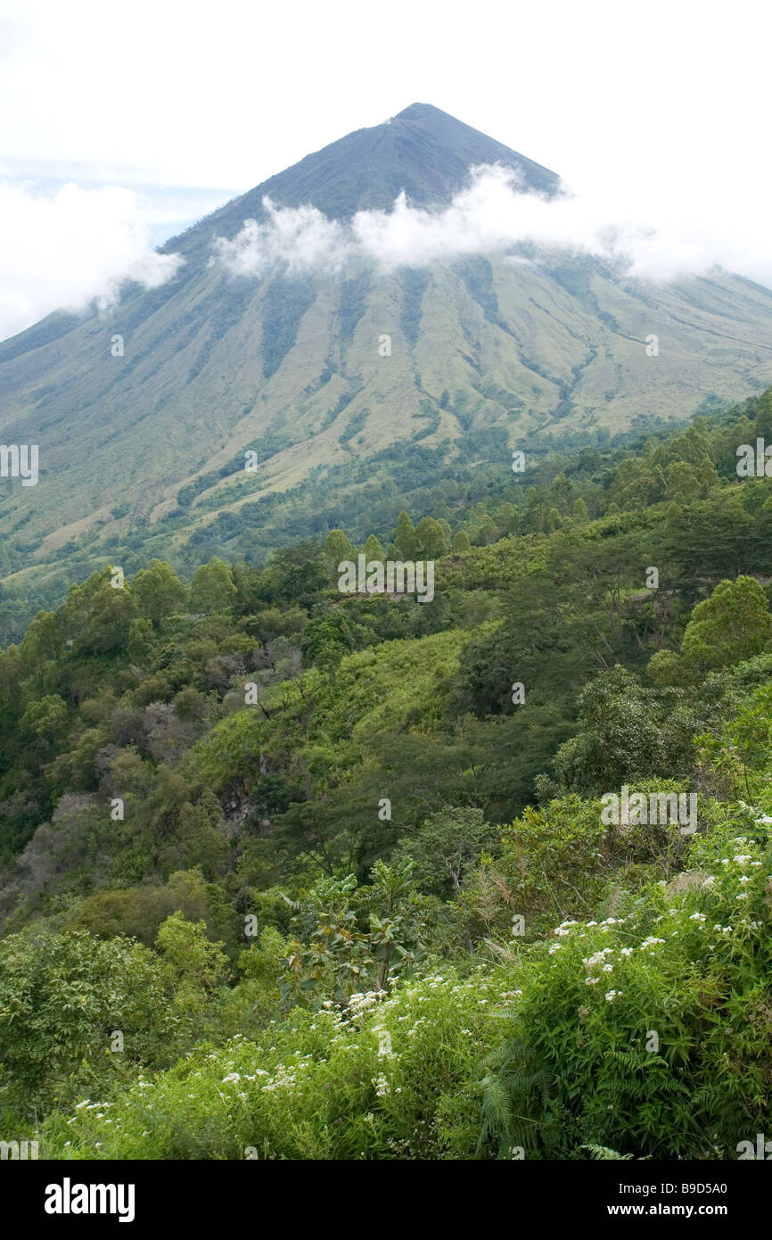 Die Inerie Stratovulkan (Flores - Indonesien).  Le Stratovolcan Inerie (Florès - Indonésie). Stockfoto