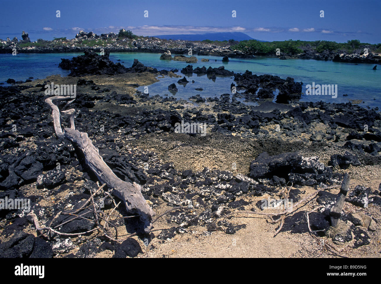 Lava, Insel Isabela, Albemarle Insel, Galapagos-Inseln, Ecuador, Südamerika Stockfoto