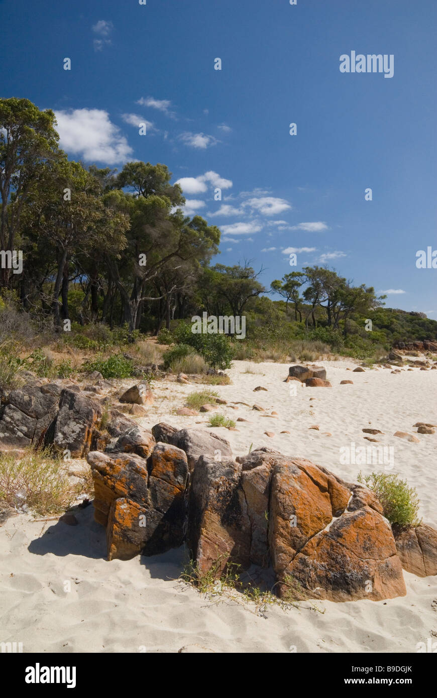 Australischen Strand und Buschlandschaft Szene in der Nähe von Dunsborough, Western Australia Stockfoto