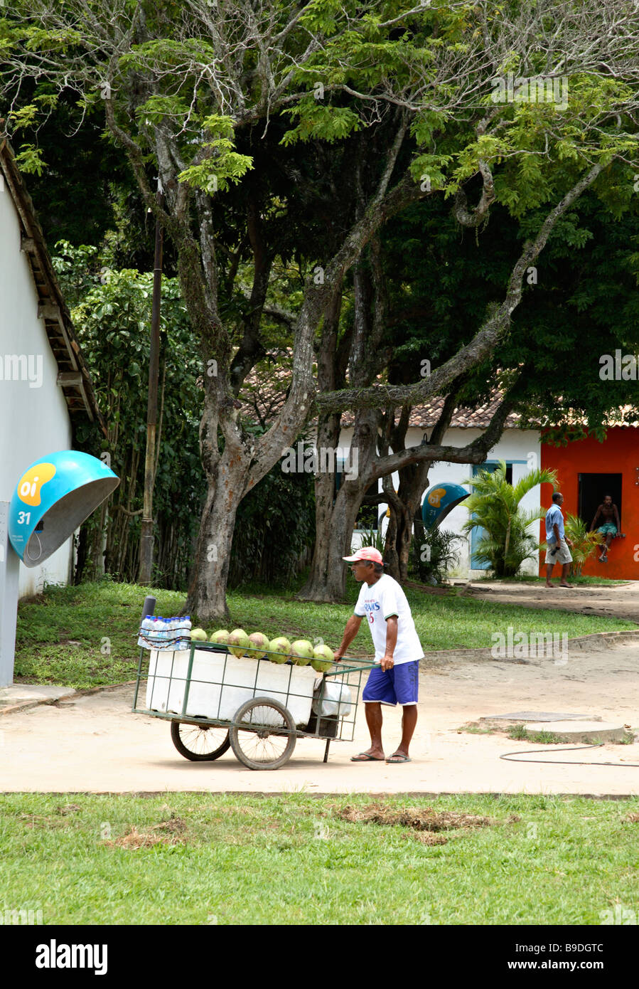 Kokos Anbieter in Porto Seguro Bahia Brasilien Südamerika Stockfoto