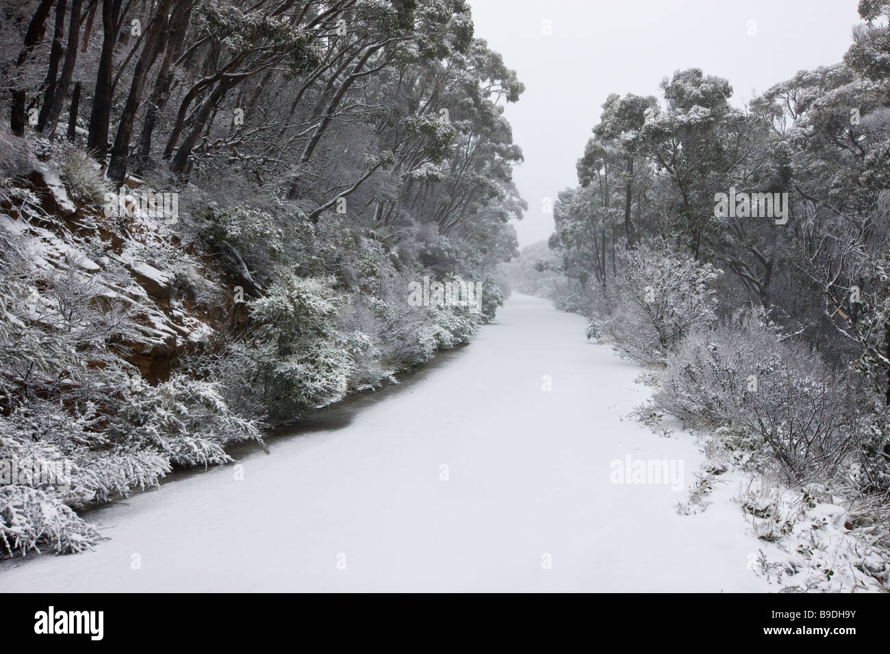 Mount William in den Grampians, Victoria Australien unterwegs. Stockfoto