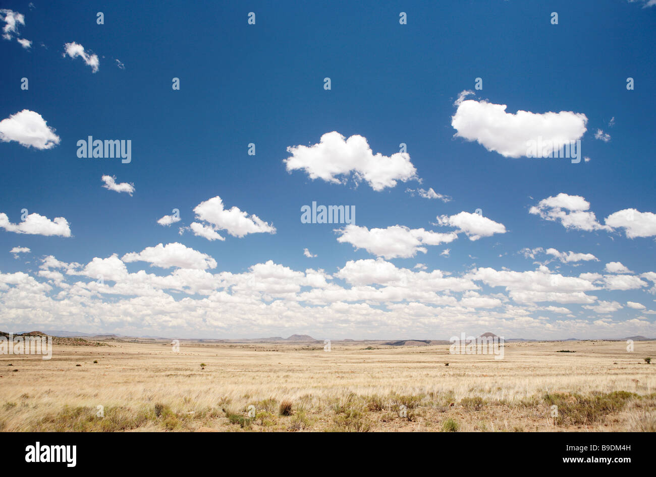 Karoo Landschaft Süd-Afrika Stockfoto