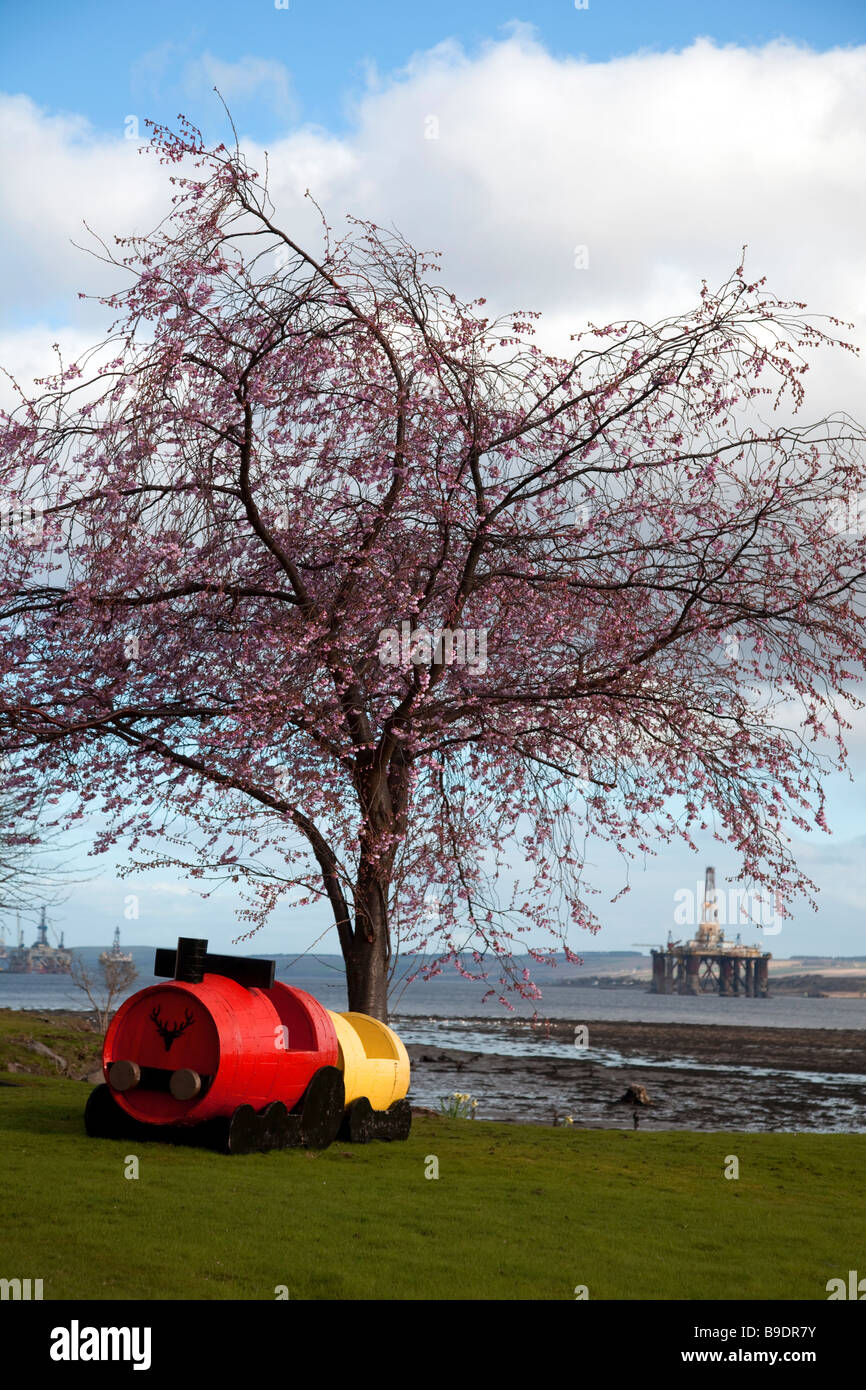 Blühende Kirsche und Holz Spielzeug in Invergordon, Cromarty Firth im Norden Schottlands, UK Stockfoto