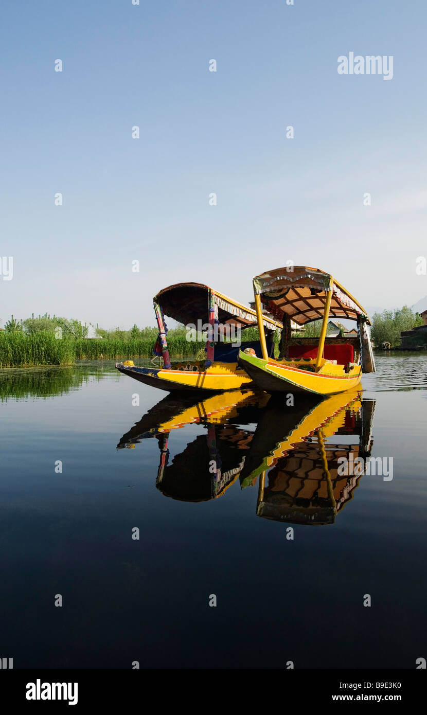 Zwei Shikaras in einem See, Dal, Srinagar, Jammu und Kaschmir, Indien Stockfoto