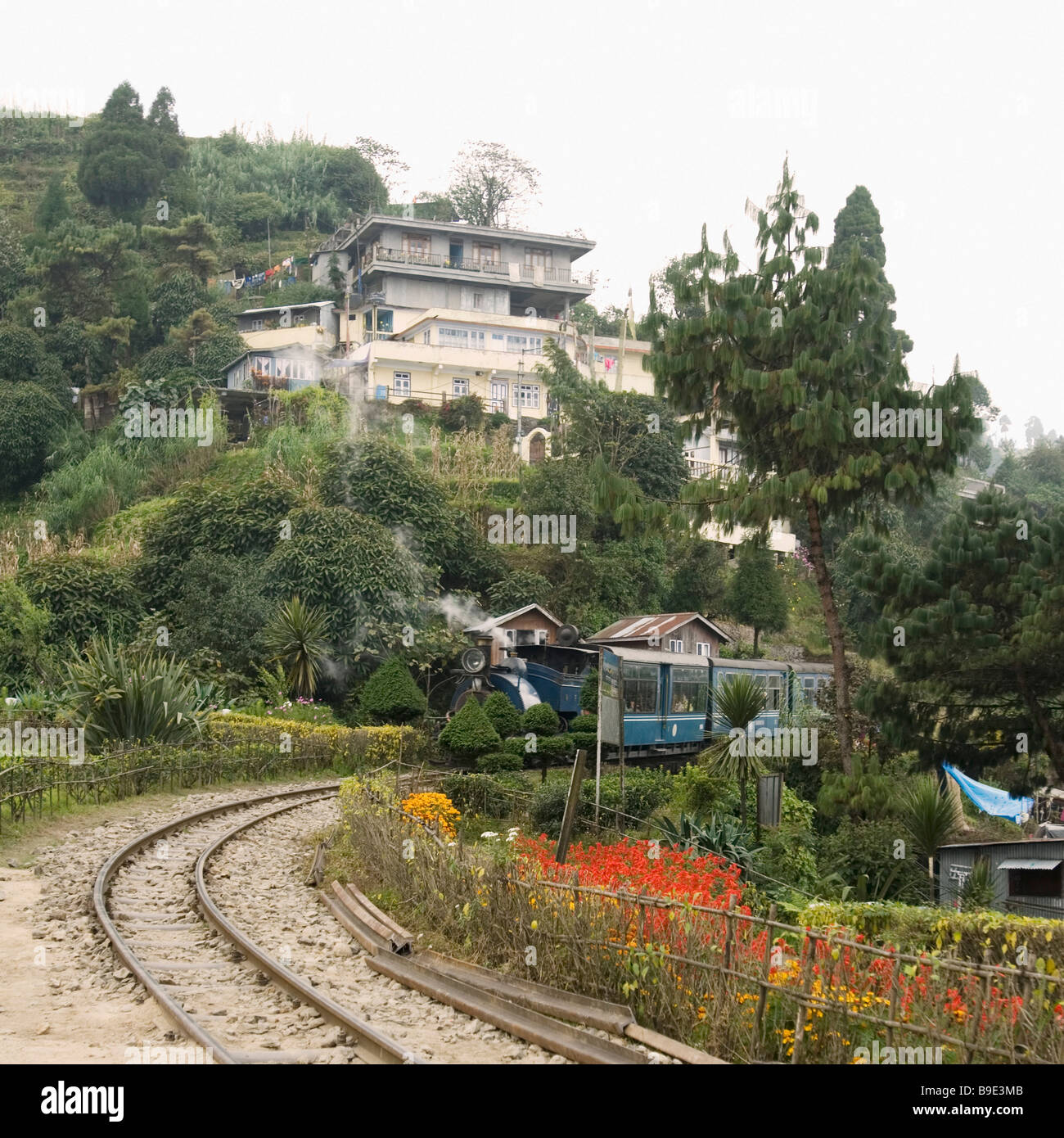 Dampfzug auf Eisenbahnschienen, Darjeeling Himalayan Railway, Darjeeling, Westbengalen, Indien Stockfoto