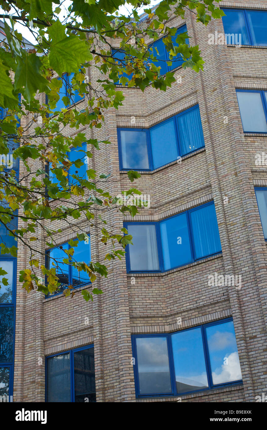 Blauen Fenstern an ein modernes Bürogebäude Stockfoto