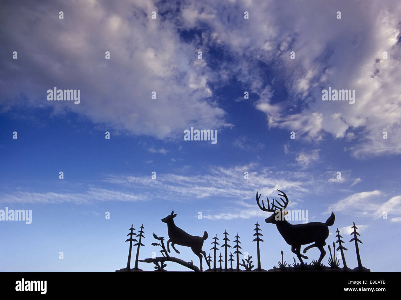 Wrought Eisen Schild am Eingang der Ranch in der Nähe von Bracketville auf FM 334 Autobahn bei Edwards Plateau in Kinney County Texas USA Stockfoto