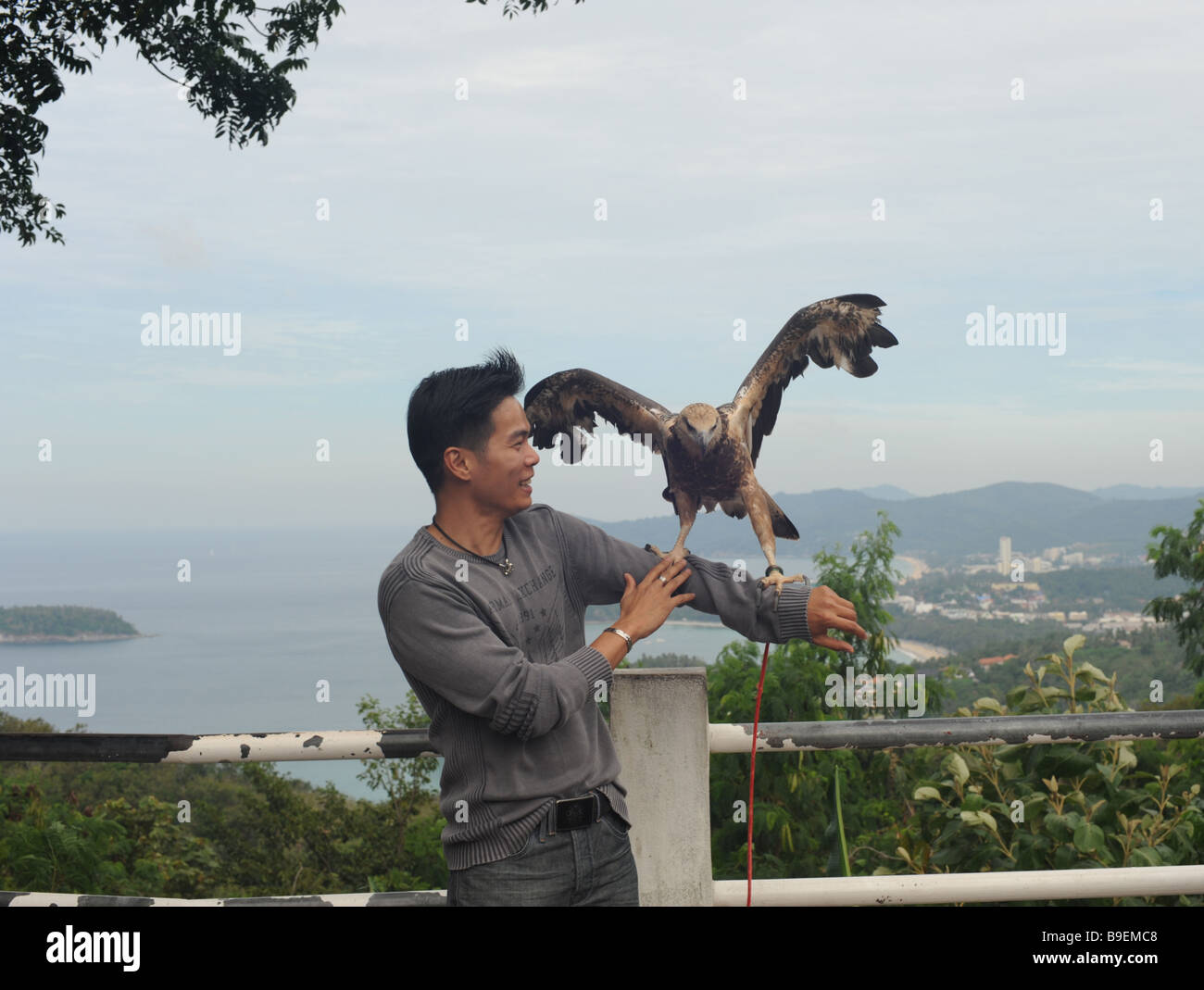 Thai Mann mit Hawk an den Aussichtspunkt Kata Thani, Phuket Thailand Stockfoto