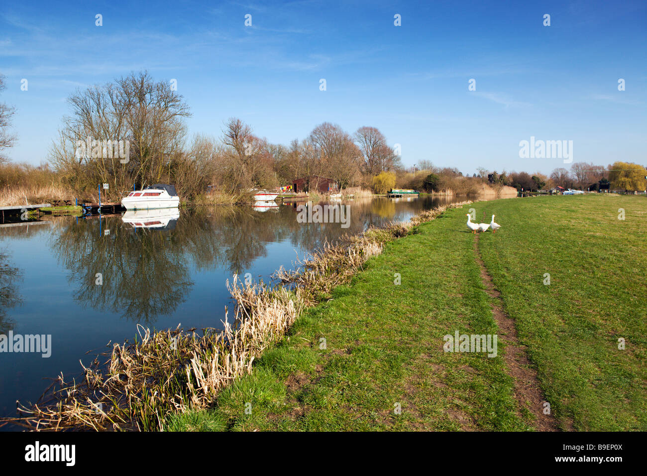 Der Fluss Ouse Boote und Wiese Felder im zeitigen Frühjahr, Fluss Ouse Huntingdon Cambridgeshire England UK Stockfoto