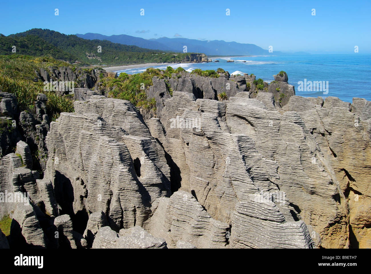 Pancake Rocks, Punakaiki, Paparoa National Park, West Coast, Südinsel, Neuseeland Stockfoto