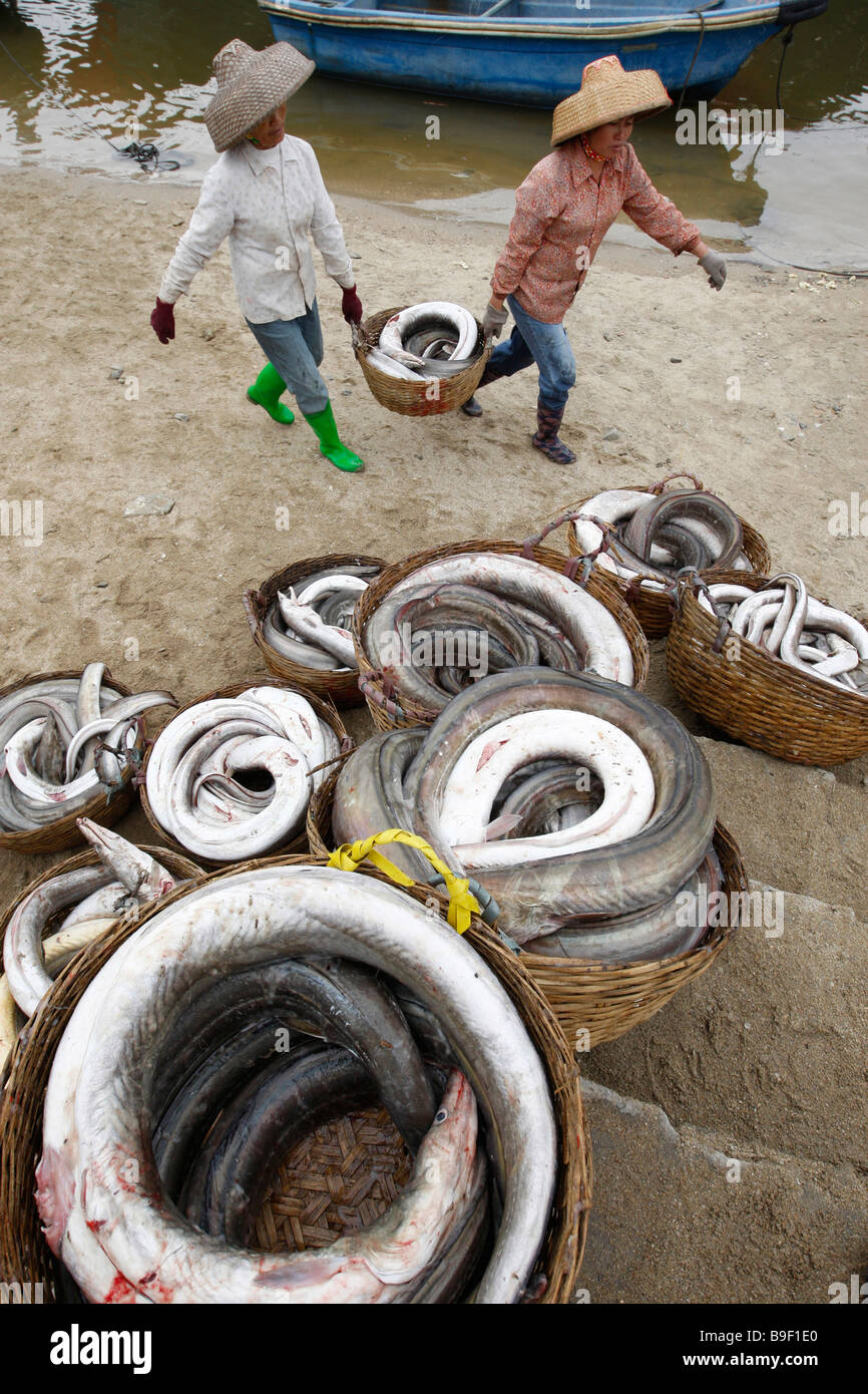 Küstenfischerei In Hainan Insel Stockfoto