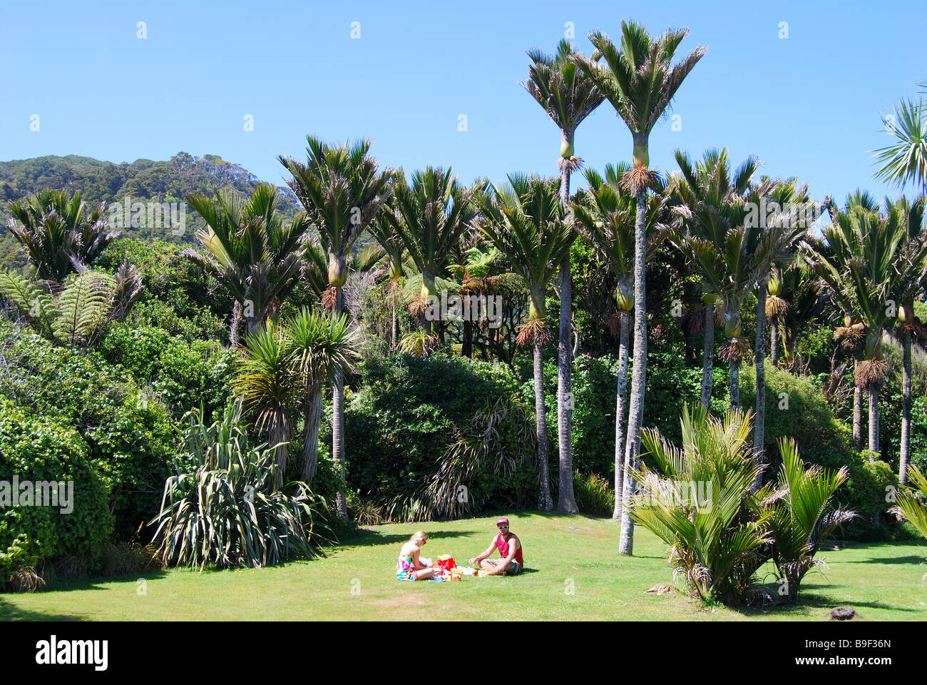 Paar beim Picknick, Punakaiki, Paparoa National Park, West Coast, Südinsel, Neuseeland Stockfoto
