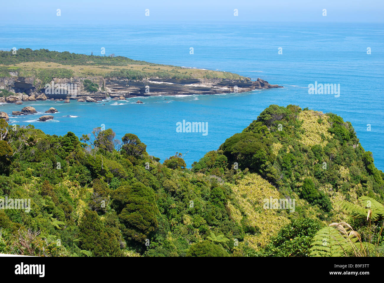 Küsten-Ansicht, Paparoa National Park, West Coast, Südinsel, Neuseeland Stockfoto