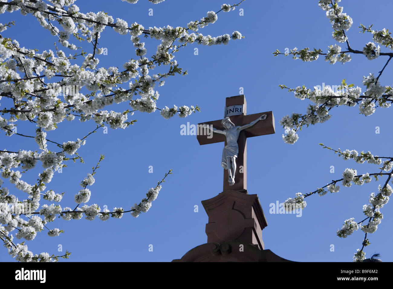 Kreuz Jesu Christi Bäume blühenden detail Stockfoto