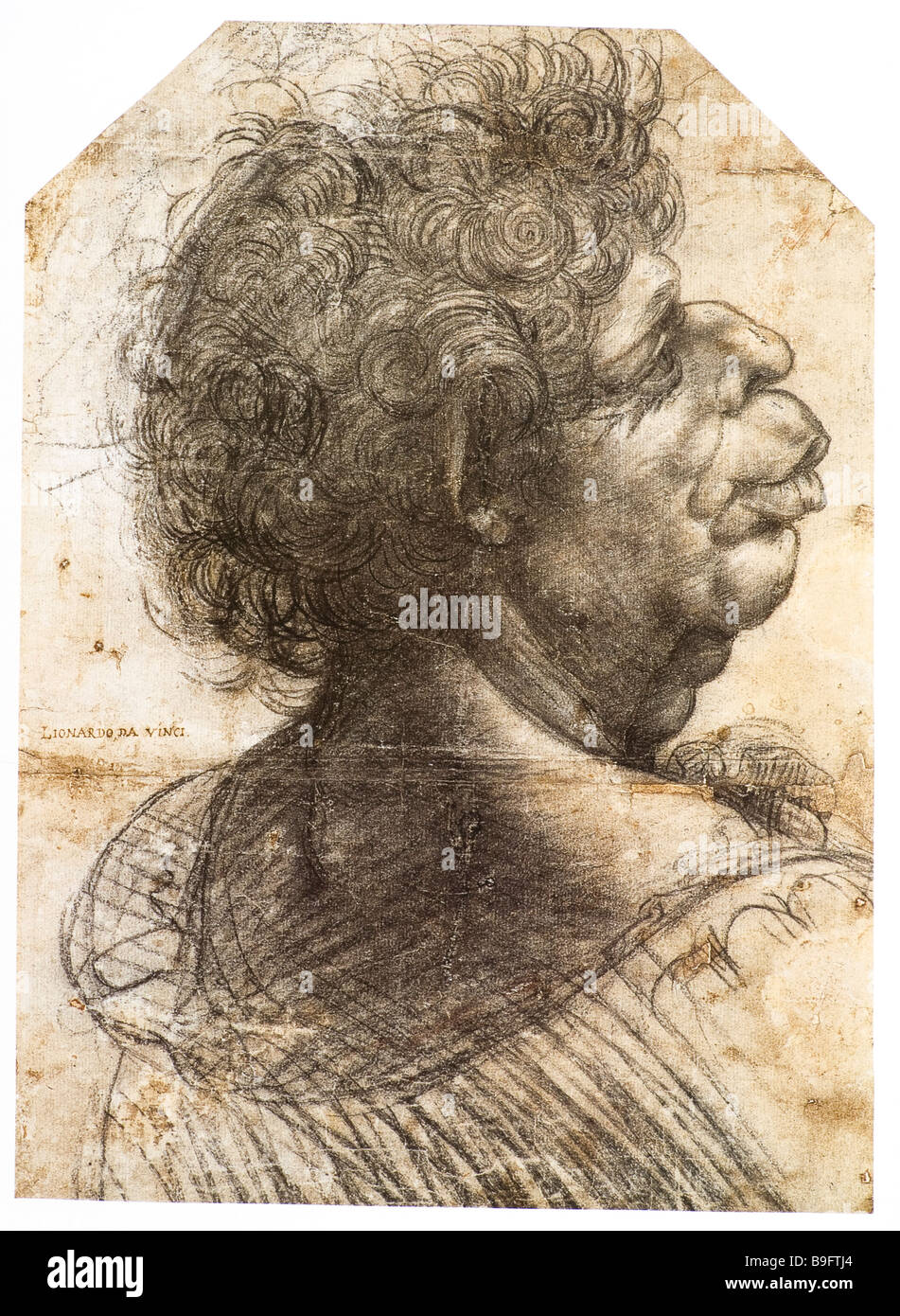 Groteske Porträt eines Mannes von Leonardo da Vinci 1500-1505 schwarze Kreide Stockfoto