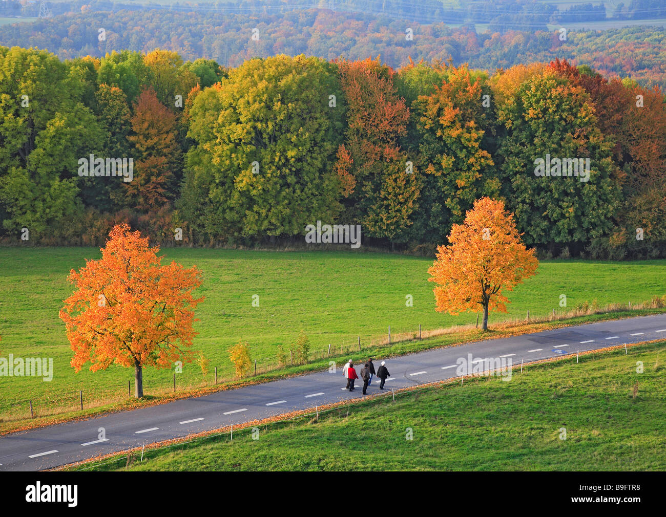 Autumnscene mit Street in Upperfrankonia Bayern Deutschland Stockfoto