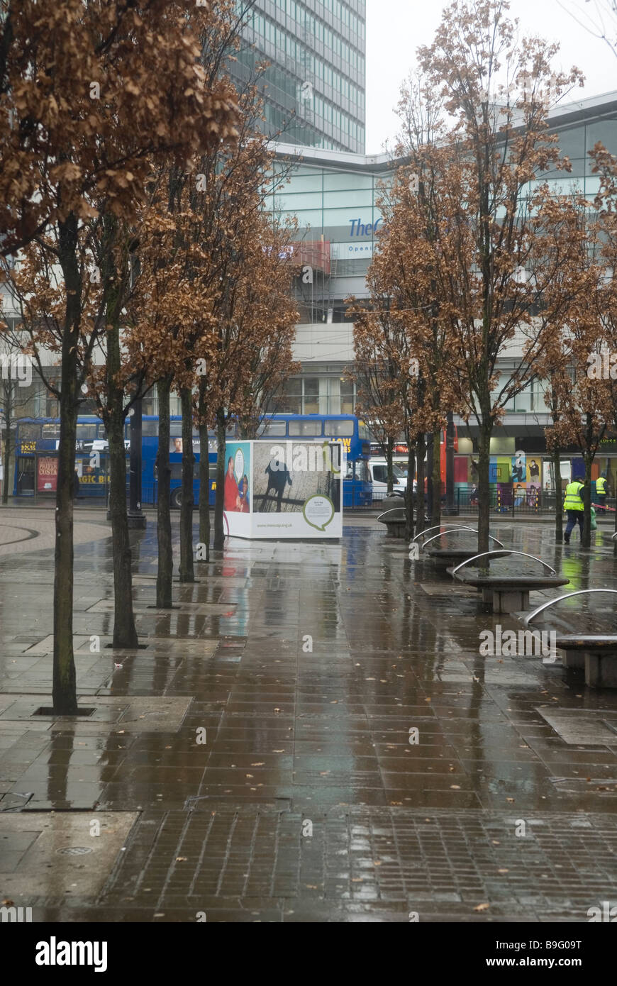 Bäume in Manchester Piccadilly Garden City centre UK Stockfoto