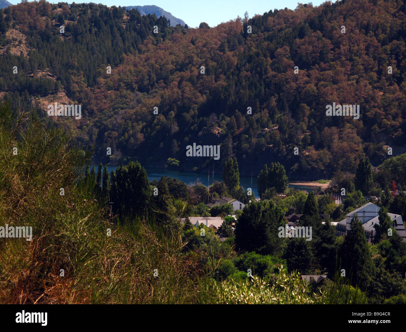 Der Wald und die Häuser rund um den See Lácar in der argentinischen Patagonien. Stockfoto Der Wald und die Häuser rund um den See Lácar in der argentinischen Patagonien. Stockfoto