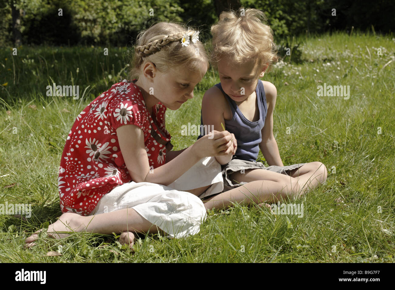 Garten Mädchen Junge saß Wiese Rasen-Stiel Menschen Kinder Blick Geschwister Schwester Bruder Sommer Neugier spielt Interesse Stockfoto