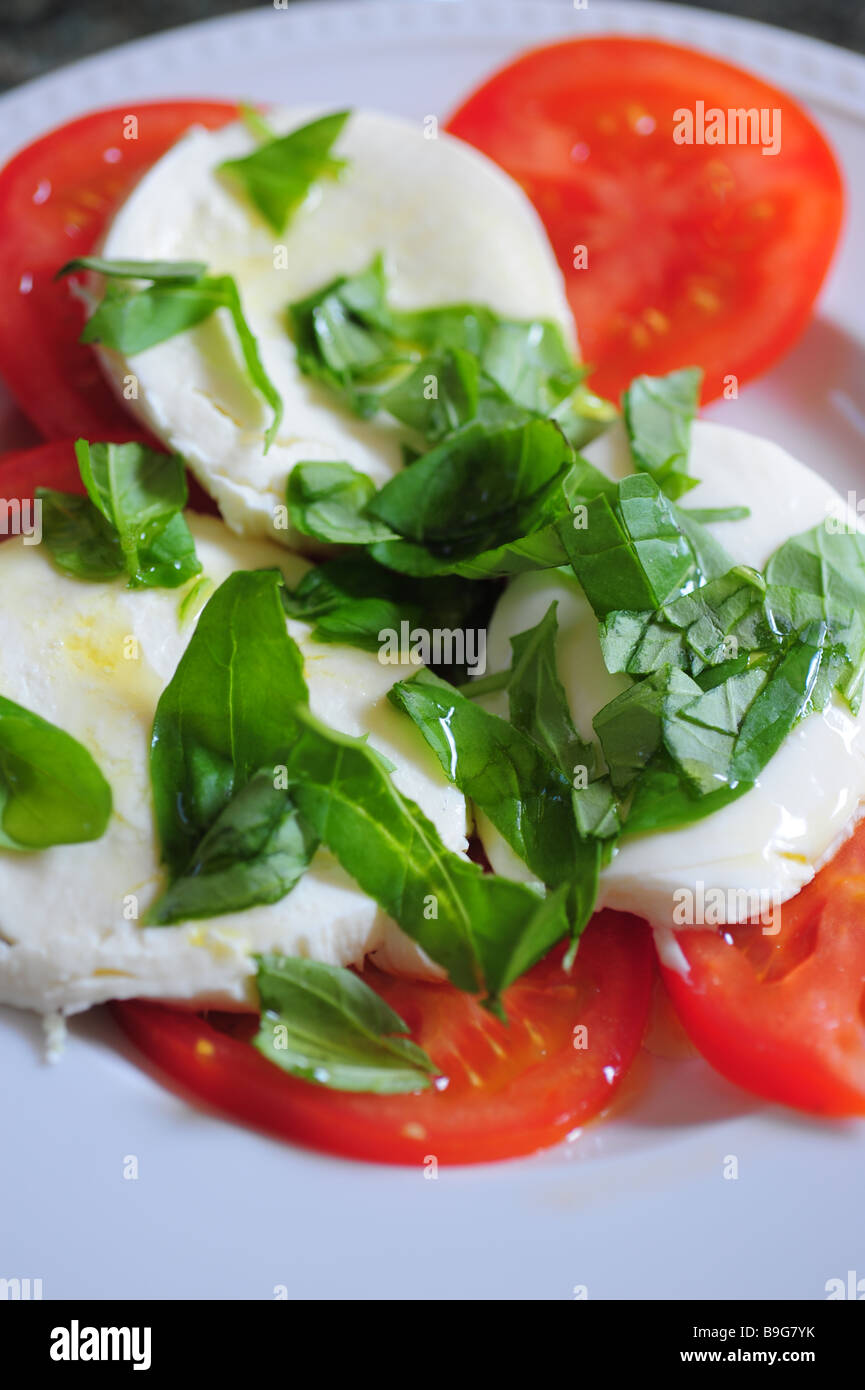 essen Salat italienische Caprese Basilikum Tomate Mozzarella Olivenöl Stockfoto