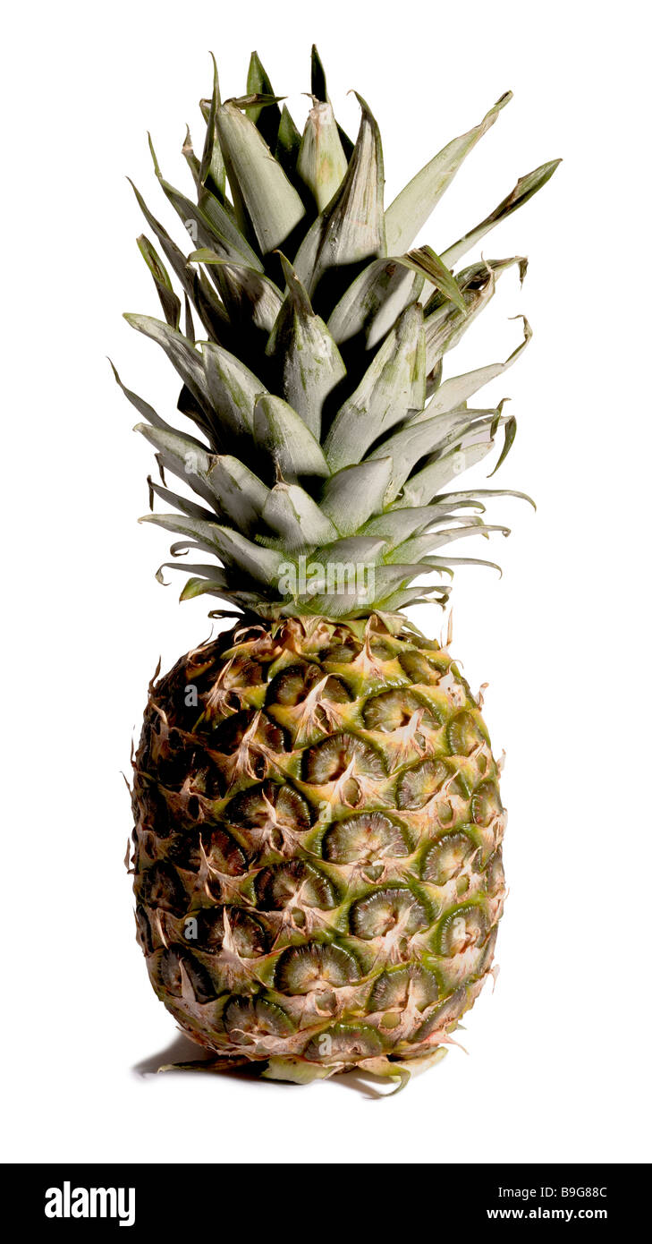 Ananas Stockfoto