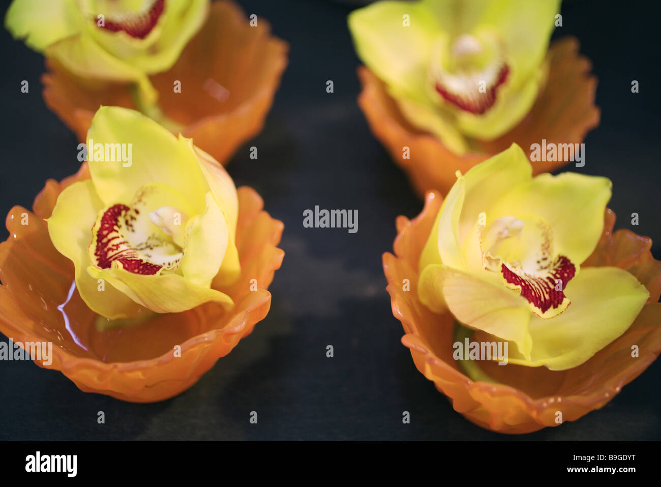 Blumenschmuck Orchideen-Blüte Stockfoto