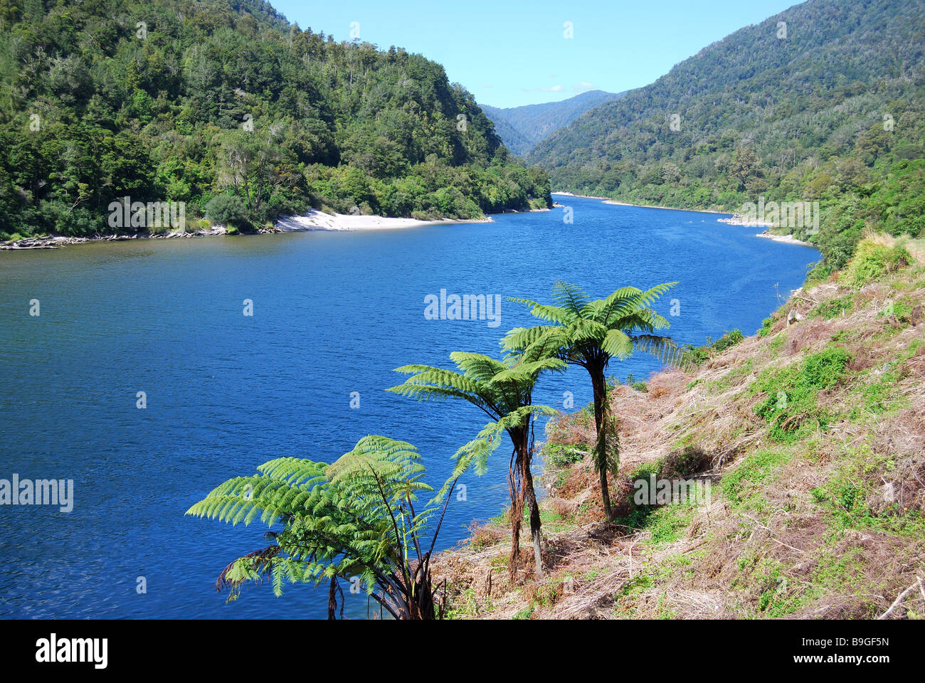 Senken Sie Buller Gorge Scenic Reserve, West Coast, Südinsel, Neuseeland Stockfoto